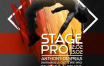 Stage Pro avec Anthony DESPRAS au Centre de Danse Nilda Dance - Montceau-les-mines